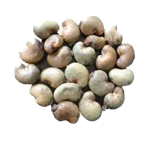 Cashew Nuts