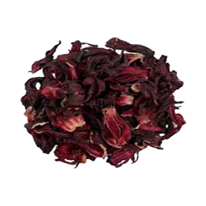 Hibiscus Flower