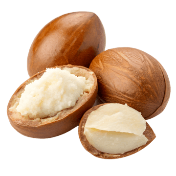 Shea butter
